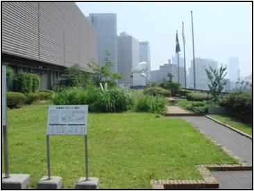 霞ヶ関合同庁舎3号館屋上庭園