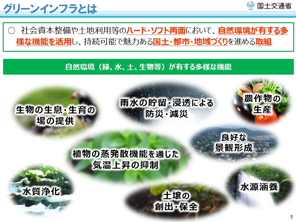 グリーンインフラ推進戦略についての説明資料